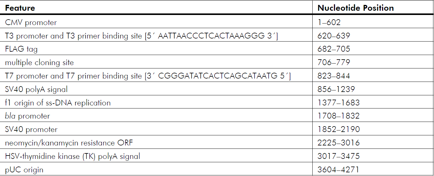 pCMV-Tag 2C 载体特征